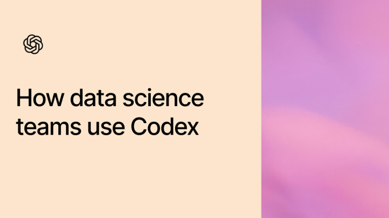 How data science teams use Codex